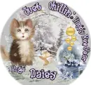 Daisy