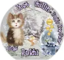 Rakhi