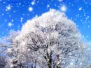 Snow snow gif