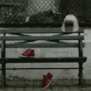 sia '