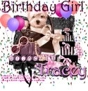 tracey