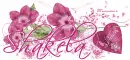 Happy Valentines day/Shakela