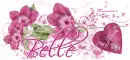 Happy Valentines day/Belle