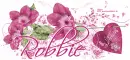 Happy Valentines day/Robbie