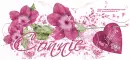Happy Valentines day/Connie