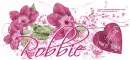 Happy Valentines day/Robbie