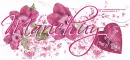 Happy Valentines day/Marichuy