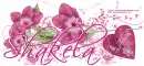 Happy Valentines day/Shakela