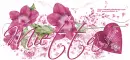 Happy Valentines day/Mietta