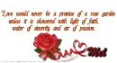 Mel - Rose Garden - Passion