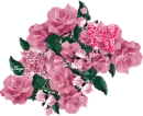 Disco roses