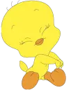 it is a birdy
