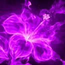 neon flower