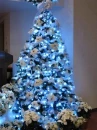 Blue xmas tree!