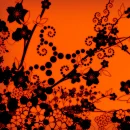orange abstract 