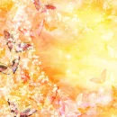 orange abstract 