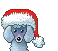Xmas poodle