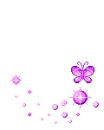 Butterfly!
