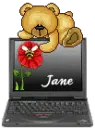 Bear on Laptop - Jane