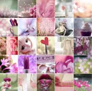 pink things