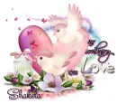 No Ordinary Love ~ Shakela