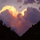 inside the heart