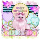 Dred-Birthday gift