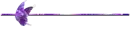 Purple Butterfly Divider
