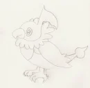 Chatot without color