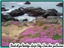 Ocean Background