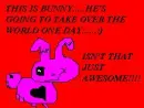 crazy bunny