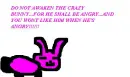 crazy bunny 2