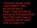 scars - papa roach