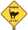 Beware of Cat