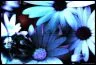 blue gradient