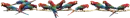 Parrot divider