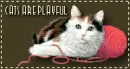Cats Are Playful Blinkie