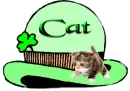 Cat aka Carol