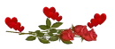 Red rose divider