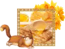 Pancakes, cat, flowers