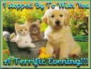I stopped by to wish you a terrific eveneing