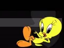 Good Night Tweety