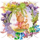 Spring Bunny