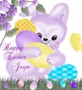Jaya