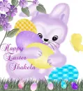 Shakela