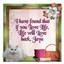 Love Life - Jaya