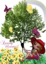 Spring Blooms
