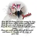 Junie - New Energy - Walk Gently