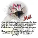 Mel - New Energy - Walk Gently