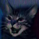 lazorcat